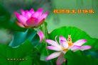 Published on 5/12/2010 ֹ,½󷨵Ӻʦ𻪵編ִգ100أ - ִ - minghui.org