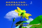 Published on 5/12/2010 ֹ,󷨵ӹʦ𻪵200 - ִ - minghui.org
