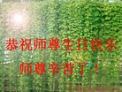 Published on 5/12/2010 ֹ,½󷨵Ӻʦ𻪵編ִգ130أ - ִ - minghui.org