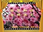 Published on 5/12/2010 ֹ,½󷨵Ӻʦ𻪵編ִգһ100أ - ִ - minghui.org