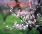 Published on 5/12/2010 ֹ,½󷨵Ӻʦ𻪵編ִգ130أ - ִ - minghui.org