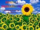 Published on 5/12/2010 ֹ,½󷨵Ӻʦ𻪵編ִգһ100أ - ִ - minghui.org