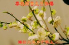 ֹ,󷨵Ӻʦ𻪵߷ִգ176أ - ִ

