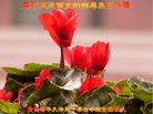 ֹ,󷨵Ӻʦ𻪵߷ִգ176أ - ִ
