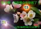 Published on 5/12/2011 ֹ,󷨵Ӻʦ𻪵߷ִգ176أ - ִ
