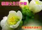ֹ,󷨵Ӻʦ𻪵߷ִգ176أ - ִ
