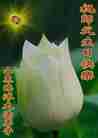 ֹ,󷨵Ӻʦ𻪵߷ִգ176أ - ִ
