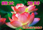 Published on 5/12/2011 ֹ,󷨵Ӻʦ𻪵߷ִգ176أ - ִ
