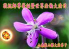 ֹ,󷨵Ӻʦ𻪵߷ִգ176أ - ִ
