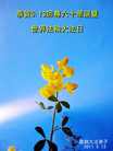 ֹ,󷨵Ӻʦ𻪵߷ִգ200أ - ִ
