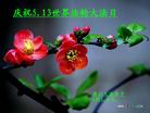 ֹ,󷨵Ӻʦ𻪵߷ִգ145أ - ִ
