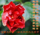 ֹ,󷨵Ӻʦ𻪵߷ִգ92أ - ִ
