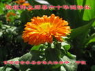 ֹ,󷨵Ӻʦ𻪵߷ִգ92أ - ִ
