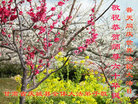 ֹ,󷨵Ӻʦ𻪵߷ִգ92أ - ִ
