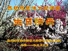 Published on 5/13/2011 ֹ,½󷨵Ӻʦ𻪵߷ִգ10 - ִ
