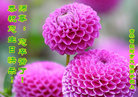 Published on 5/13/2011 ֹ,½󷨵Ӻʦ𻪵߷ִգ11 - ִ
