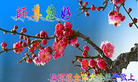 Published on 5/12/2011 ֹ,½󷨵Ӻʦ𻪵߷ִգ220أ - ִ
