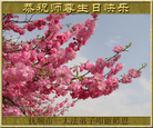 Published on 5/13/2011 ֹ,½󷨵Ӻʦ𻪵߷ִգ11 - ִ
