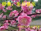 Published on 5/13/2011 ֹ,ҵ󷨵Ӻʦ𻪵߷ִ - ִ
