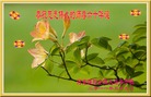 Published on 5/13/2011 ֹ,½󷨵Ӻʦ𻪵߷ִգ14 - ִ
