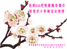 ֹ,ǷѺ󷨵Ӻʦ𻪵߷ִ - ִ
