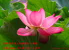 Published on 5/13/2011 ֹ,½󷨵Ӻʦ𻪵߷ִգ22 - ִ
