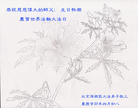 Published on 5/14/2011 ֹ,½󷨵Ӻʦ𻪵߷ִգ33 - ִ
