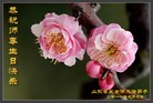Published on 5/13/2011 ֹ,½󷨵Ӻʦ𻪵߷ִգ19 - ִ
