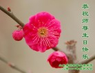 Published on 5/13/2011 ֹ,½󷨵Ӻʦ𻪵߷ִգ19 - ִ
