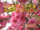 Published on 5/13/2011 ֹ,½󷨵Ӻʦ𻪵߷ִգ19 - ִ
