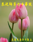 Published on 5/14/2011 ֹ,½󷨵Ӻʦ𻪵߷ִգ33 - ִ
