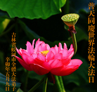 Published on 5/13/2011 ֹ,½󷨵Ӻʦ𻪵߷ִգ23 - ִ
