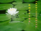 Published on 5/13/2011 ֹ,½󷨵Ӻʦ𻪵߷ִգ32 - ִ
