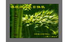 Published on 5/14/2011 ֹ,½󷨵Ӻʦ𻪵߷ִգ33 - ִ
