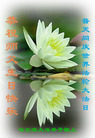 Published on 5/14/2011 ֹ,½󷨵Ӻʦ𻪵߷ִգ33 - ִ
