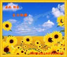 Published on 5/14/2011 ֹ,½󷨵Ӻʦ𻪵߷ִգ39 - ִ
