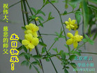 Published on 5/14/2011 ֹ,½󷨵Ӻʦ𻪵߷ִգ37 - ִ
