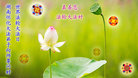 Published on 5/12/2011 ֹ,д󷨵Ӻʦ𻪵߷ִգ200أ - ִ
