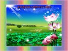Published on 5/12/2011 ֹ,󷨵Ӻʦ𻪵߷ִգ176أ - ִ
