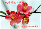 Published on 5/12/2011 ֹ,󷨵Ӻʦ𻪵߷ִգ200أ - ִ
