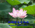 Published on 5/13/2011 ֹ,СӾףʦ𻪵 - ִ
