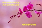 Published on 5/12/2011 ֹ,½󷨵Ӻʦ𻪵߷ִգ190أ - ִ
