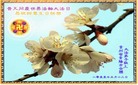 ֹ,ϴ󷨵Ӻʦ𻪵߷ִգ220أ - ִ
