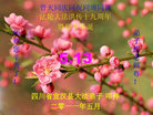 ֹ,ϴ󷨵Ӻʦ𻪵߷ִգ220أ - ִ
