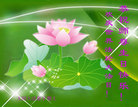ֹ,󷨵Ӻʦ𻪵߷ִգ145أ - ִ
