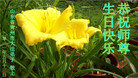Published on 5/13/2011 ֹ,½󷨵Ӻʦ𻪵߷ִգ28 - ִ
