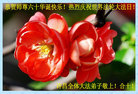 Published on 5/13/2011 ֹ,д󷨵Ӻʦ𻪵߷ִգ246أ - ִ

