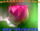 Published on 5/12/2011 ֹ,½󷨵Ӻʦ𻪵߷ִգ220أ - ִ
