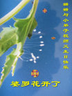 Published on 5/13/2011 ֹ,СӾףʦ𻪵 - ִ
