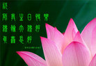 ֹ,ϴ󷨵Ӻʦ𻪵߷ִգ160أ - ִ
